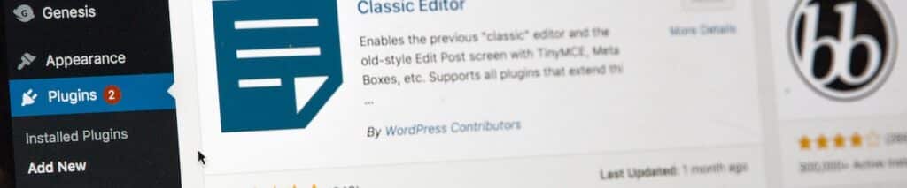 WordPress plugin updates